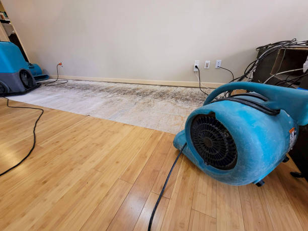 Professional Basement Flood Cleanup technician working in Ancramdale, NY